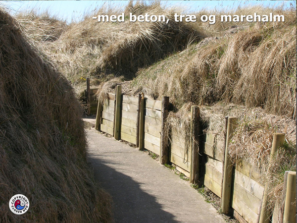 Hirtshals_069_lobegrav3